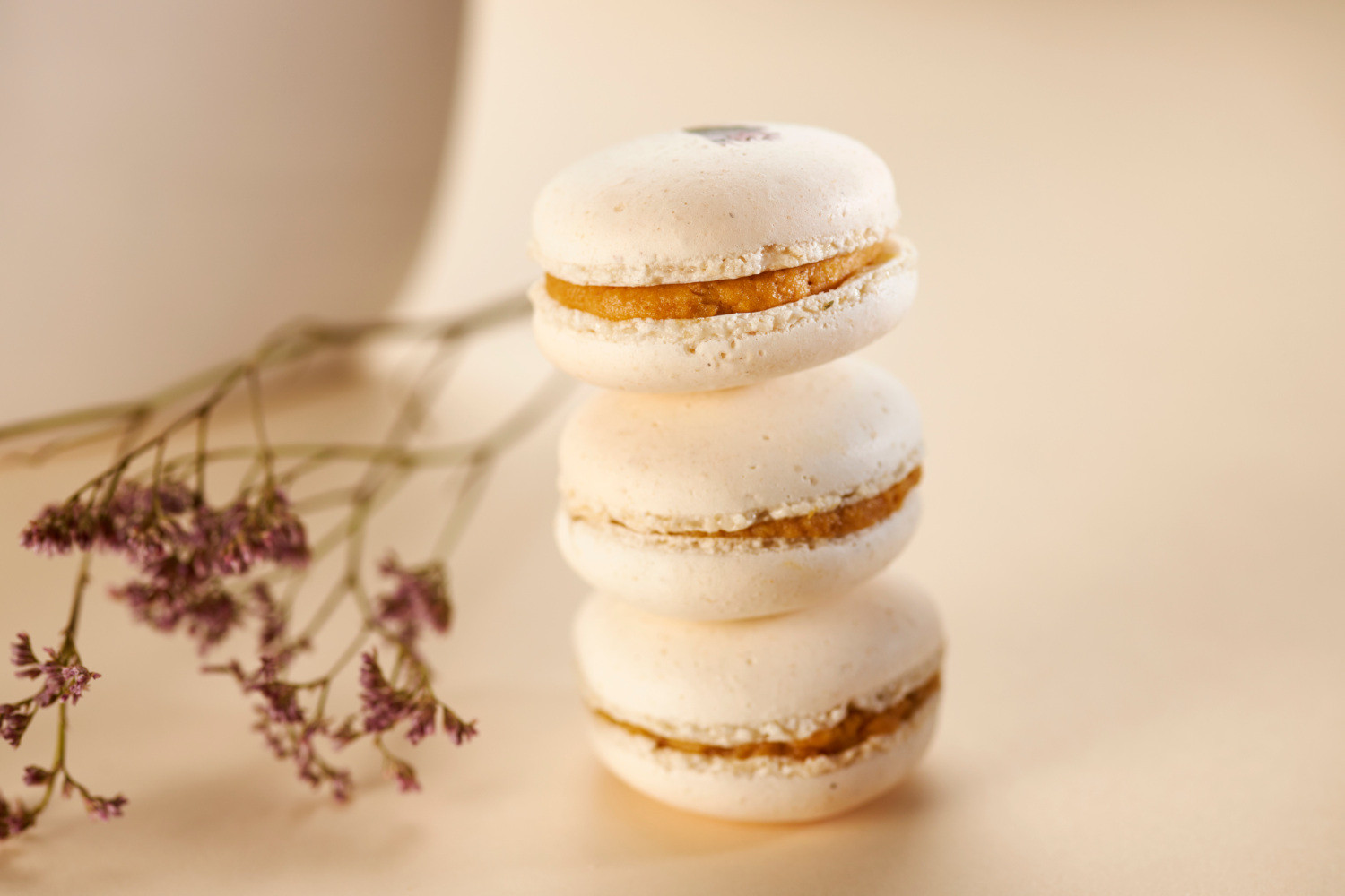 macaron-foie-gras-figue