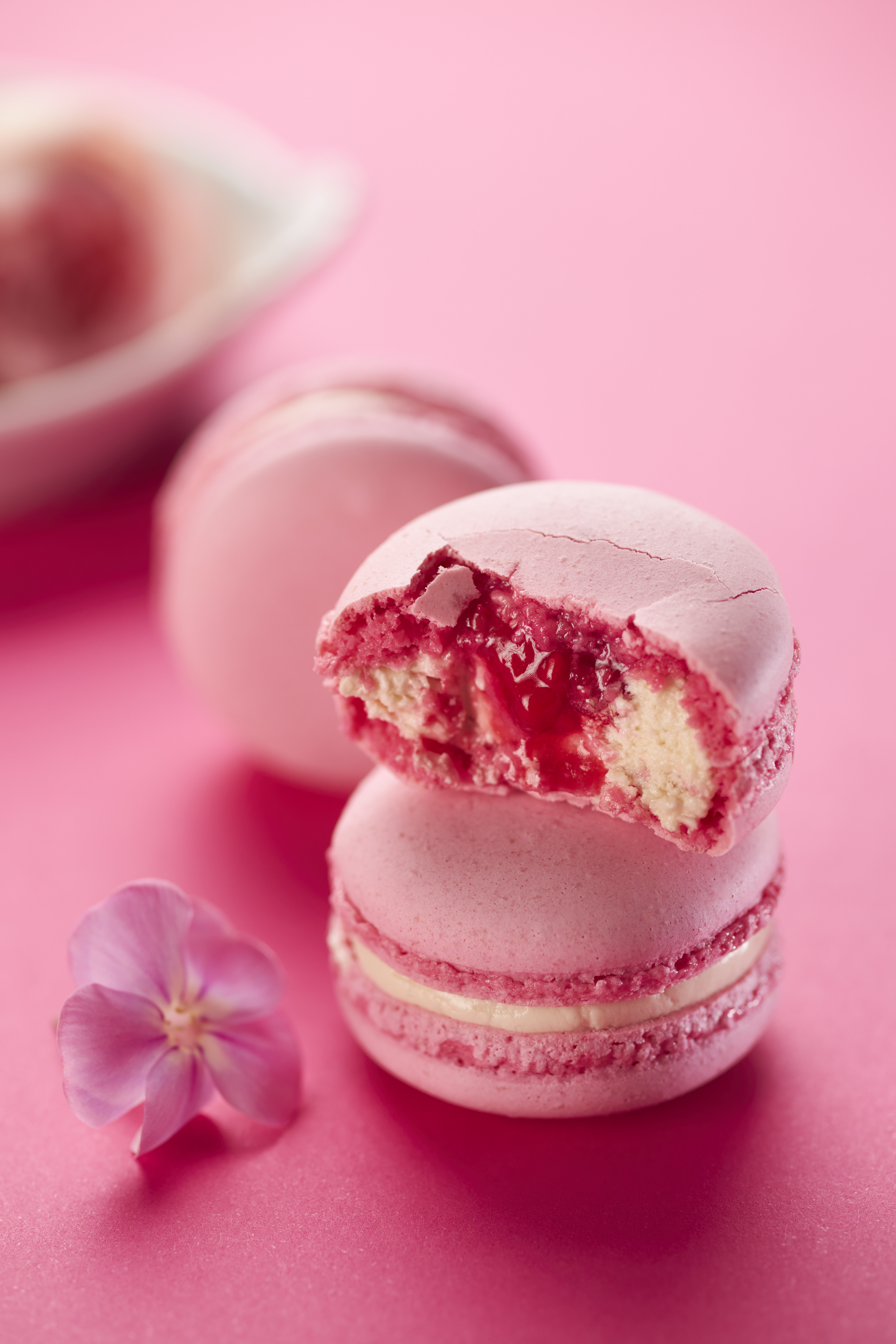Macaron artisanal framboise par Julie Fleury-Ledun à Mauves en Ardèche et disponible à la vente à Valence en Drôme