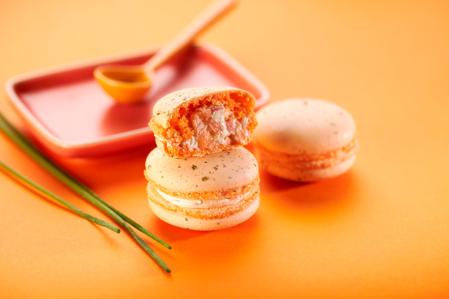 macaron-saumon-ciboulette